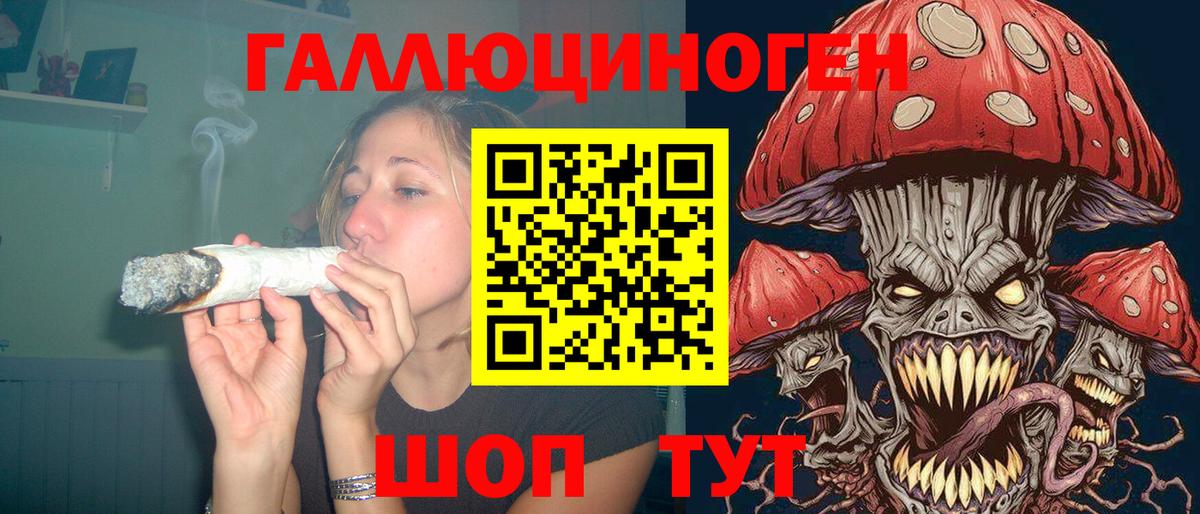 Псилоцибиновые грибы Psilocybine cubensis Нижнекамск