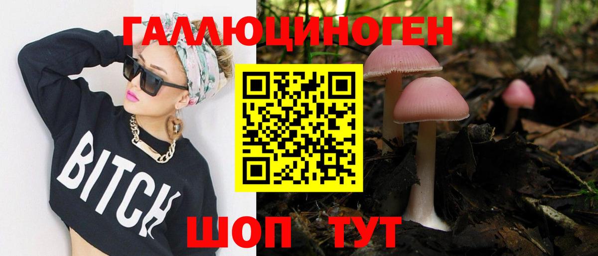 Галлюциногенные грибы мицелий  где купить наркоту  Нижнекамск  Вход с VPN  Псилоцибиновые грибы GOLDEN TEACHER 